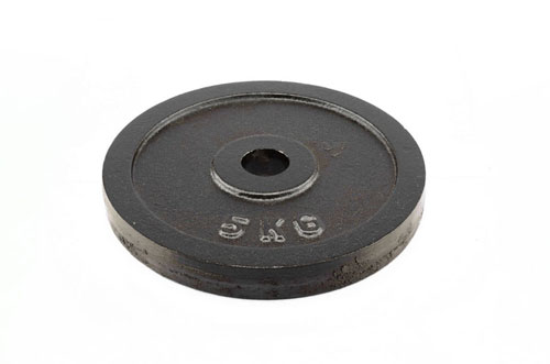 Teg metalni 5.0kgR30mm GymFit