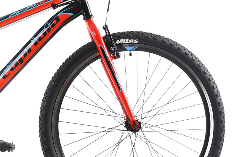 MTB Diavolo DX 26 Capriolo