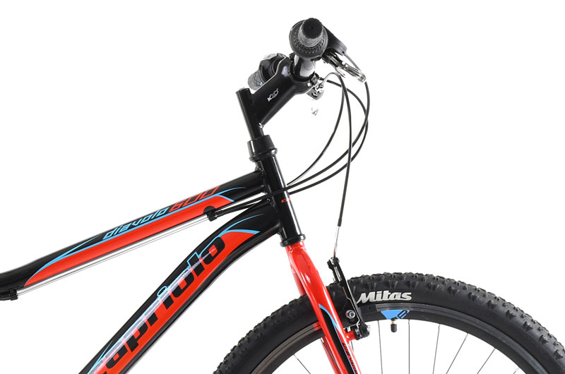 MTB Diavolo DX 26 Capriolo